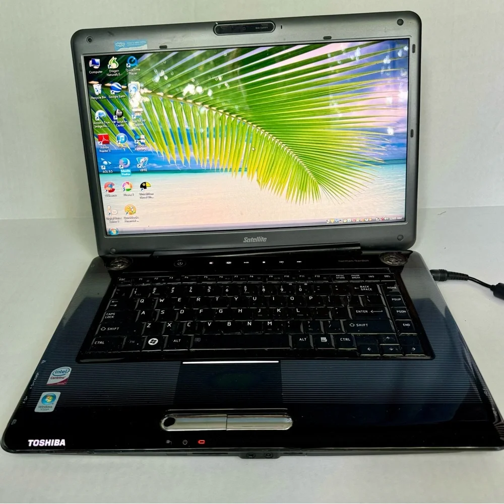 Working Toshiba Satellite A305-S6879 15.4” laptop & adapter, special edition